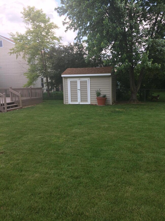 shed in the backyard