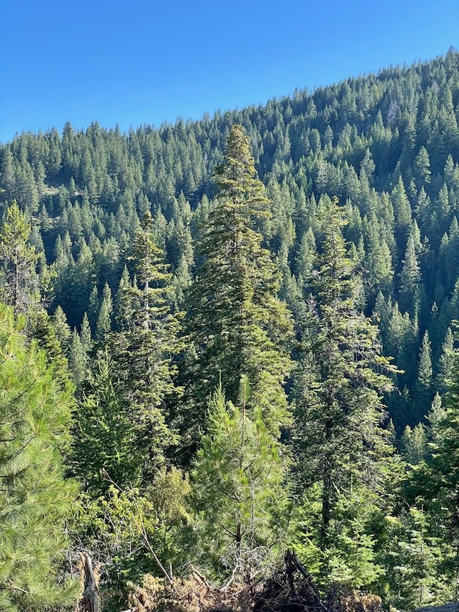 TBD 80 Round Valley Rd, Cascade, ID 83611 - photo 2