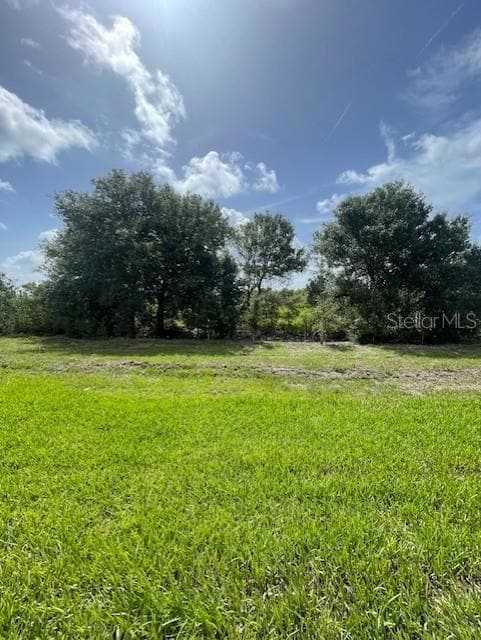 18848 Indian Rock Place, Lakewood Ranch, FL 34211 - photo 5