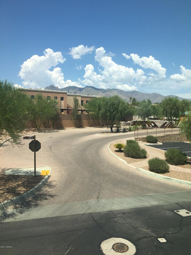 View from front of house