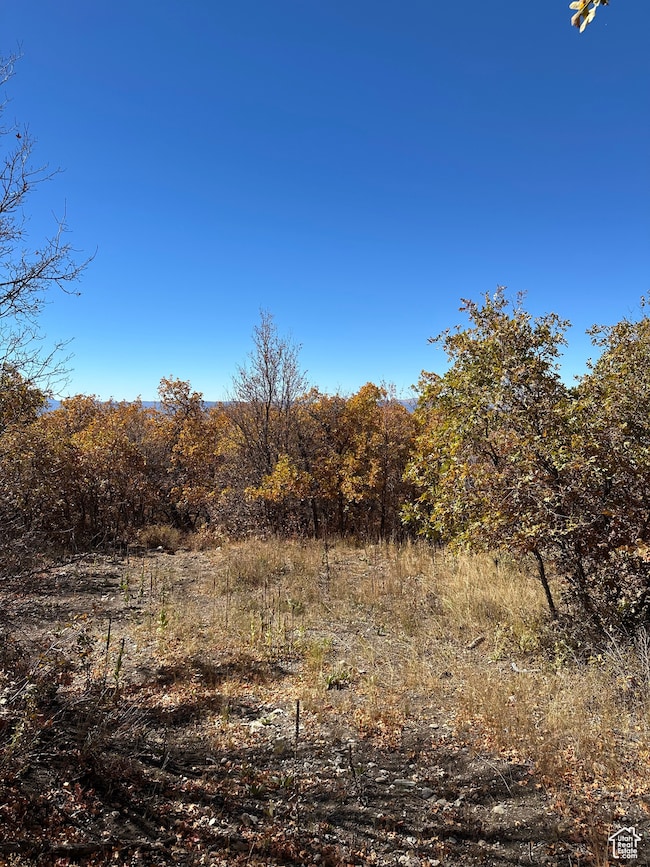 22949 N 13755 E unit 93, Fairview, UT 84629 - photo 6