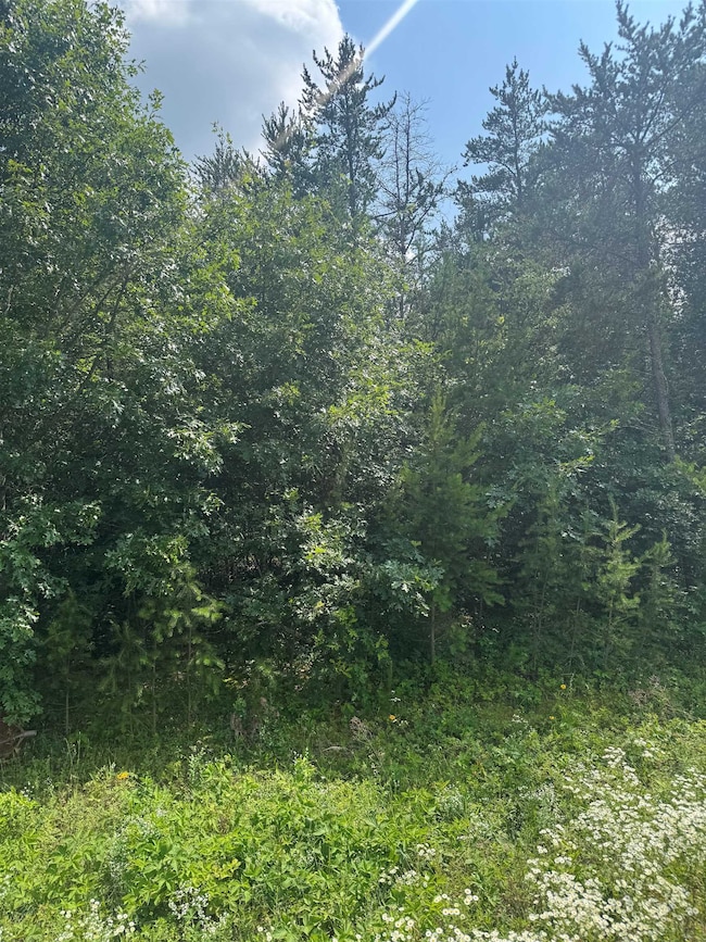 Lot 31 Red Tail Hawk Dr, Stevens Point, WI 54482 - photo 2