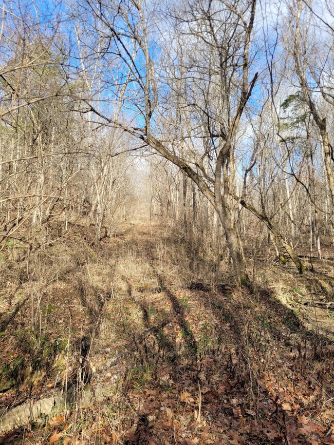 5-1 view 2