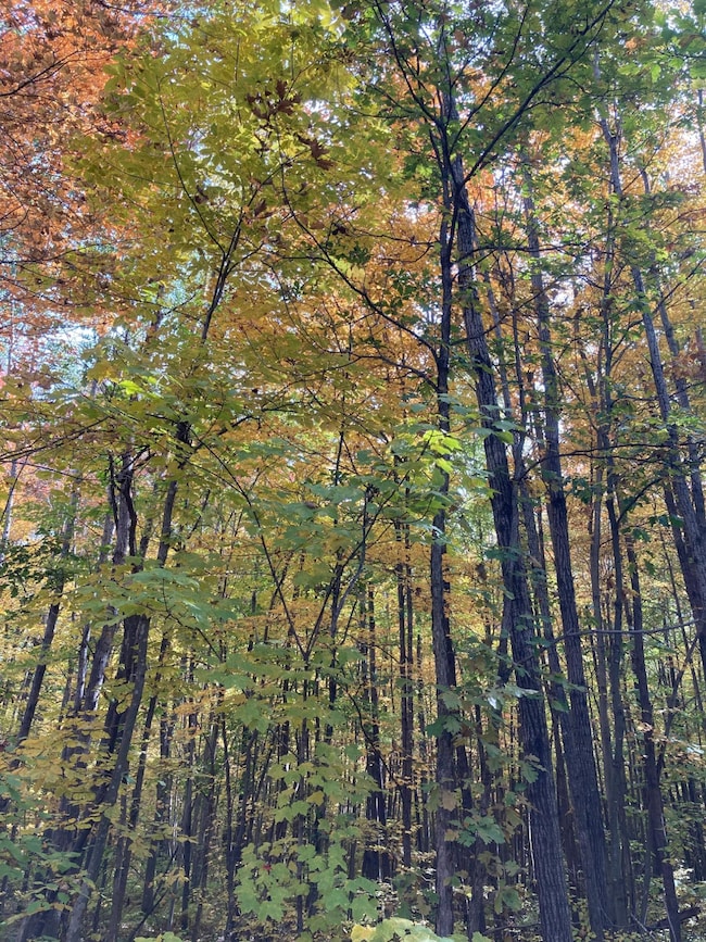 W8665 Other, Thorp, WI 54771 - photo 2