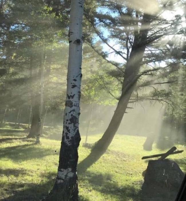 11 Vail Loop, Angel Fire, NM 87710 - photo 4