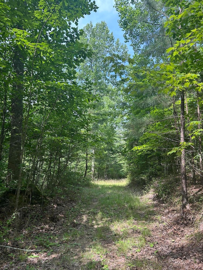 1255 Cherokee Path, Jasper, TN 37374 - photo 4