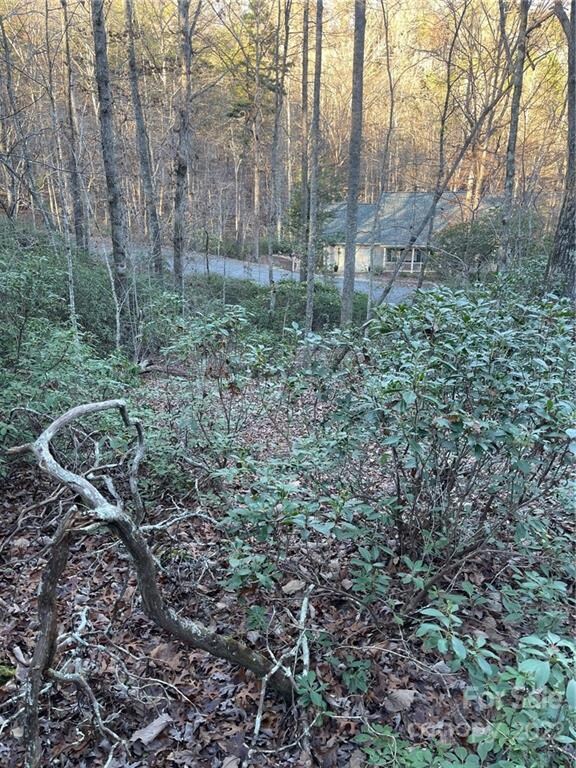 TBD Yates Ln unit 116, Lake Lure, NC 28746 - photo 6