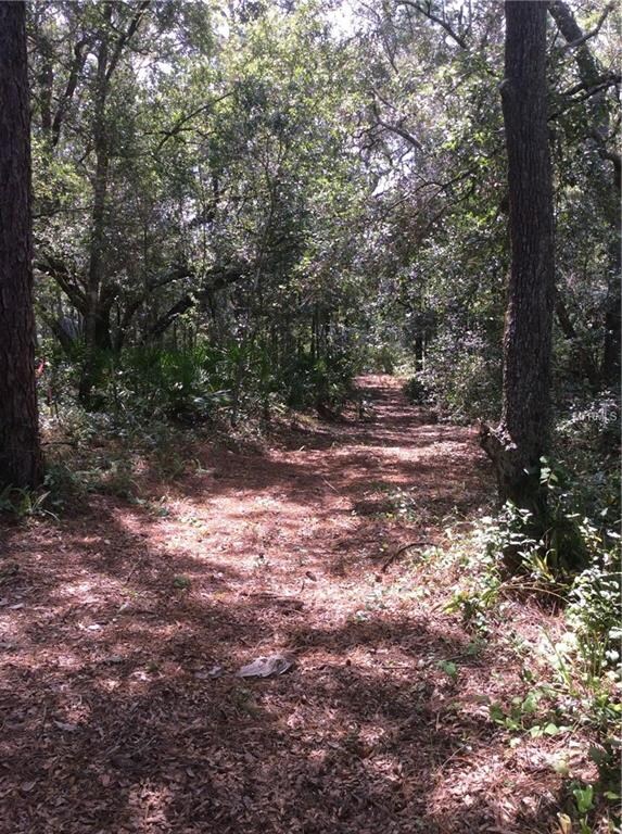 Wooded Paradise