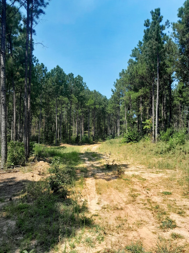 Tbd White Store Rd, Wadesboro, NC 28170 - photo 5