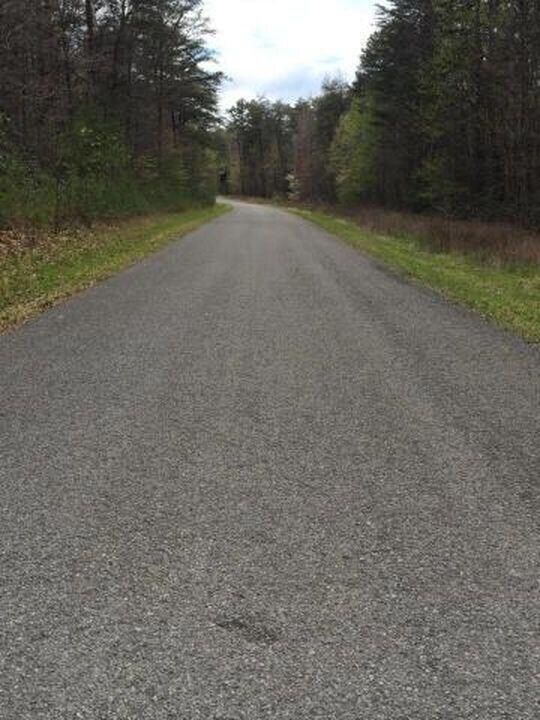 pic8