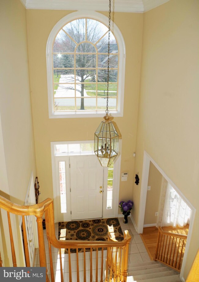 710 Firestone Dr, Silver Spring, MD 20905 - photo 3