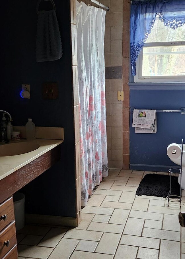 10140 Dugspur Rd, Laurel Fork, VA 24352 - photo 7