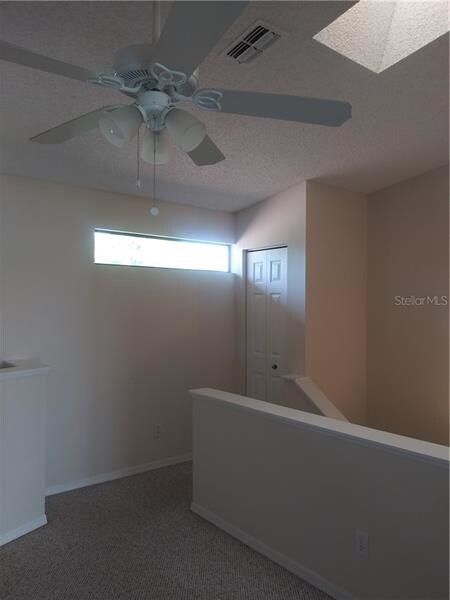 Architectural Feature/Skylights