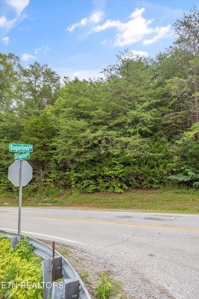 00 Sugarlimb Rd, Loudon, TN 37774 - photo 7
