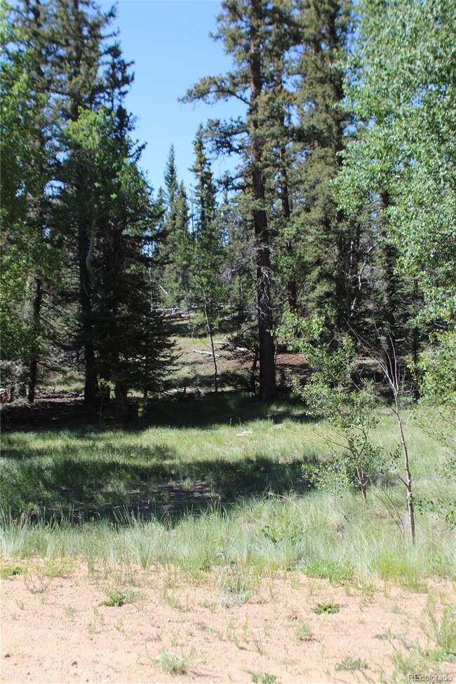 102 Kiwi Ct, Jefferson, CO 80456 - photo 4