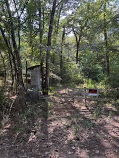 This photo features a wooded area with dense trees and a rustic fence. It suggests a secluded, natural setting, ideal for buyers seeking privacy and a connection to nature.