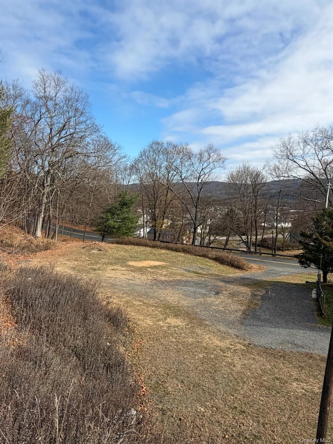 86 Canal St, Port Jervis, NY 12771 - photo 2