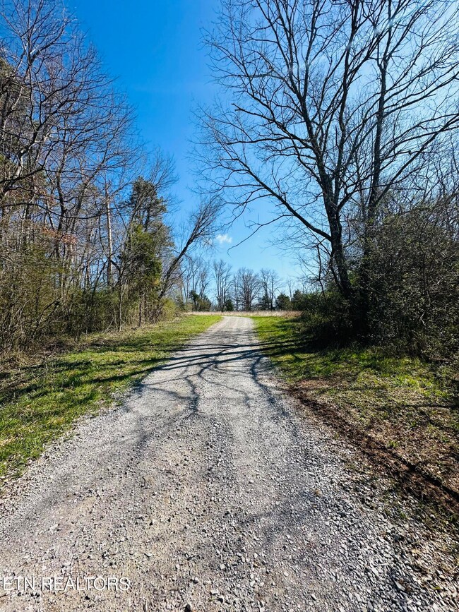 0 US 127, Pikeville, TN 37367 - photo 4