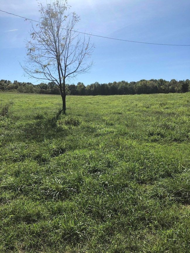 5 s Chowning Ln, Bloomfield, KY 40008 - photo 6