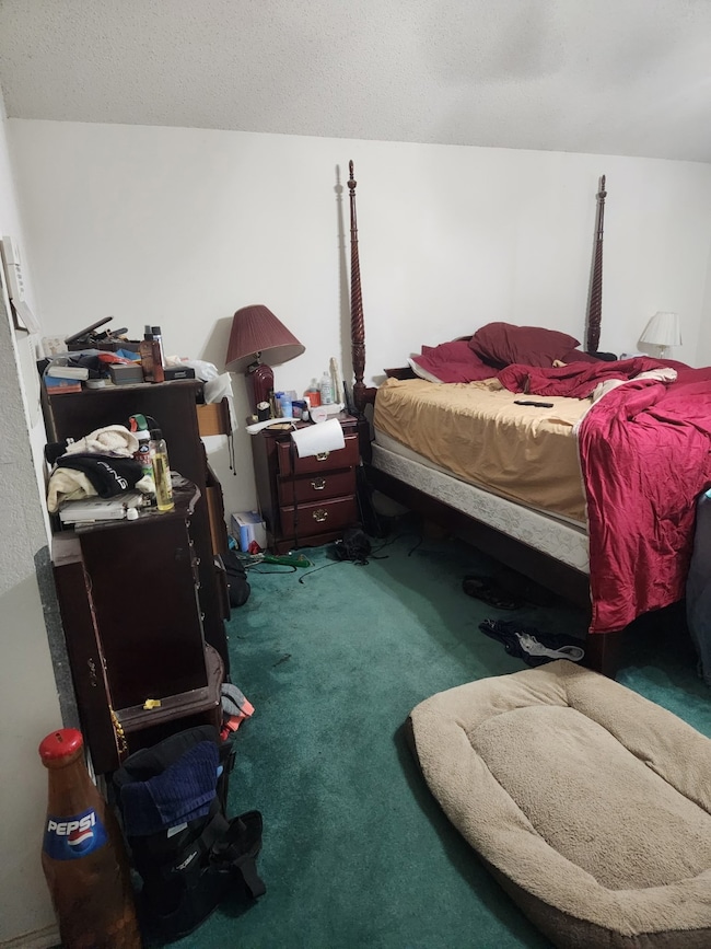 Carpeted bedroom featuring a textured ceiling
