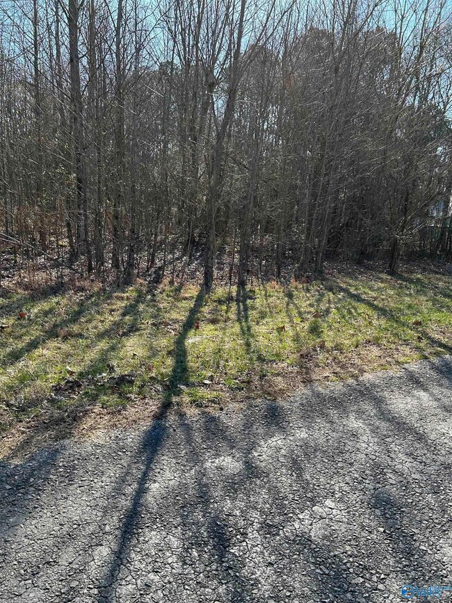 1 acre Willis Rd, Union Grove, AL 35175 - photo 3