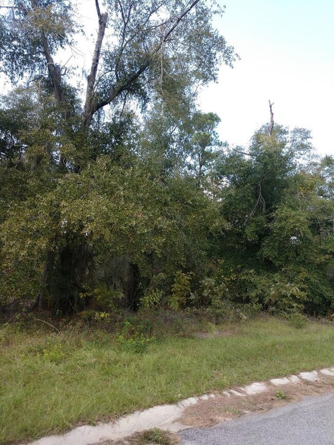 109 Cedar Slough Ct, Cordele, GA 31015 - photo 3