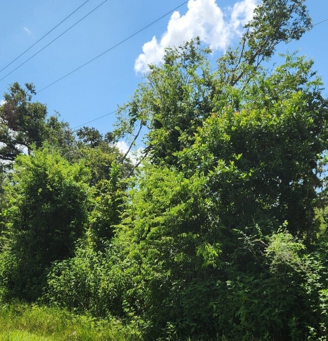 Fence line