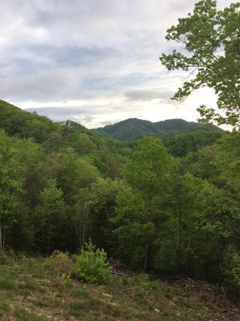 0 River Birch Way unit 1064752, Sevierville, TN 37862 - photo 2