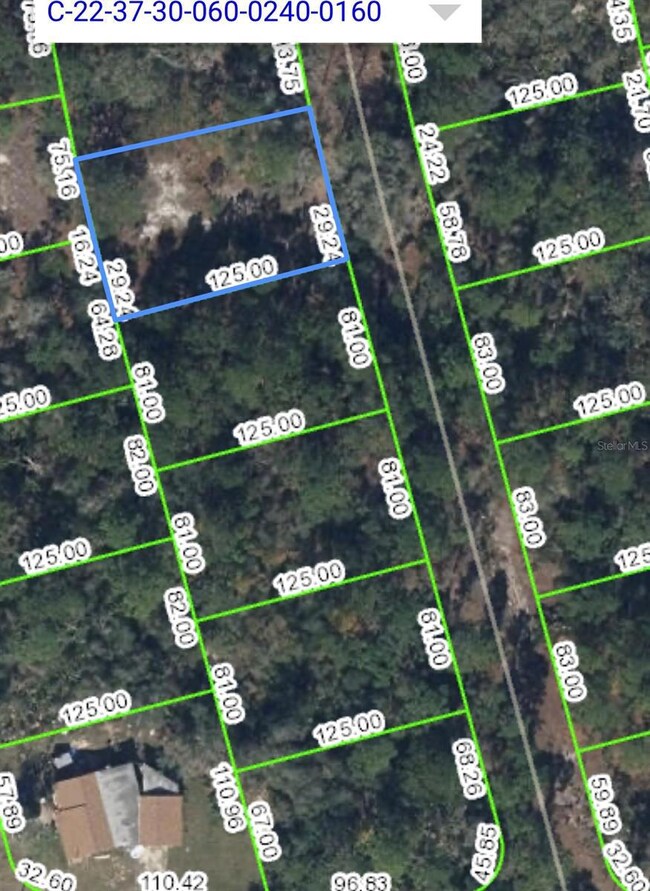 216 Rainbow Dr, Lake Placid, FL 33852 - photo 4