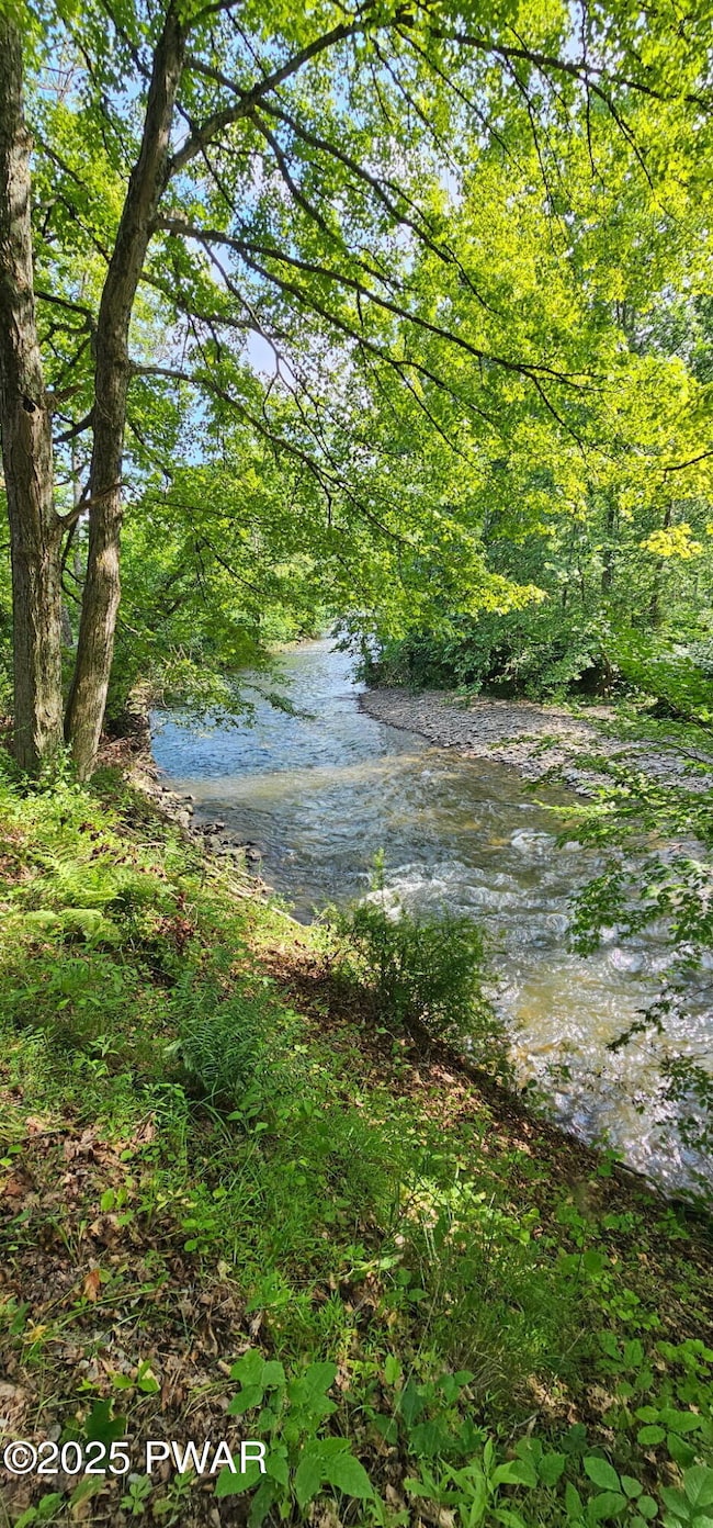 75 Grocery Hill Rd, Equinunk, PA 18417 - photo 6