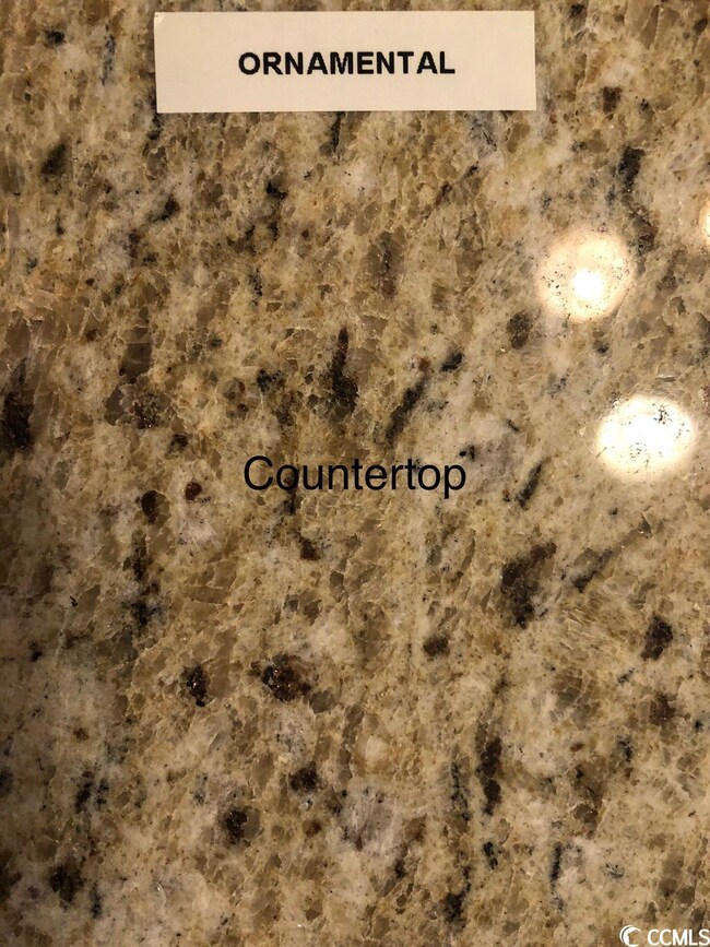 7704 Hunting Swamp Rd unit Cypress, Conway, SC 29527 - photo 6