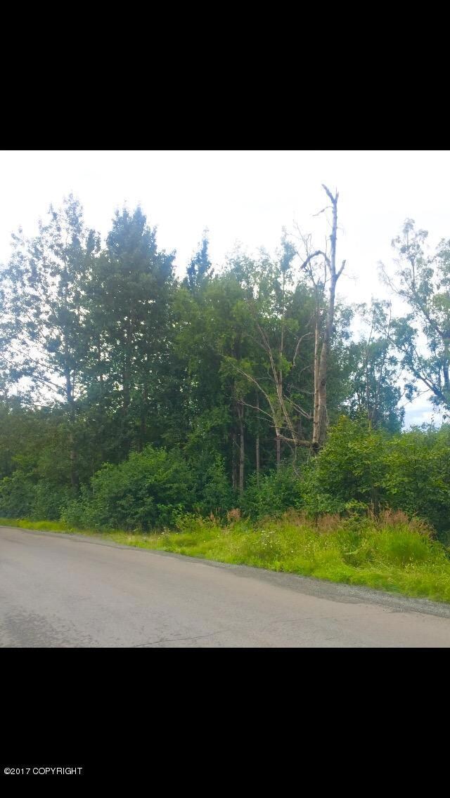 4050 Virgo Ave, Anchorage, AK 99516 - photo 3