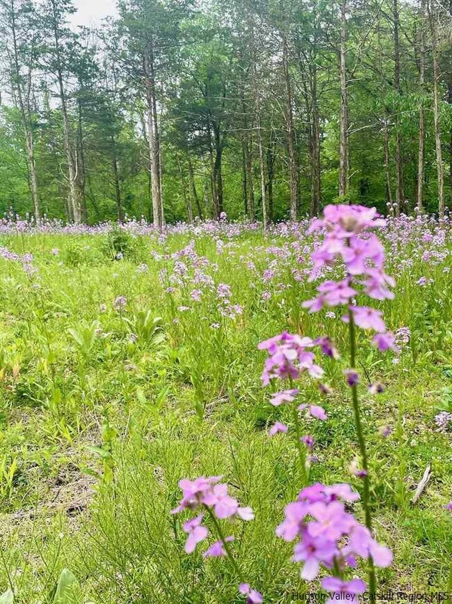 2015 Berme Rd, Kerhonkson, NY 12446 - photo 4