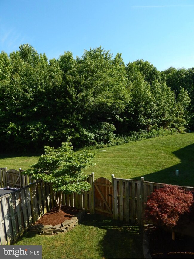 11008 New Market Ct, Fredericksburg, VA 22407 - photo 4