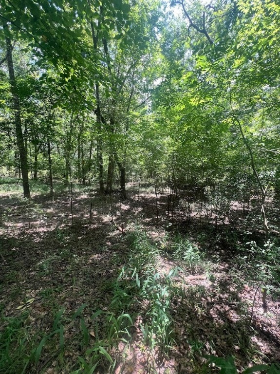 761 Addies Aly, Jesup, GA 31545 - photo 4