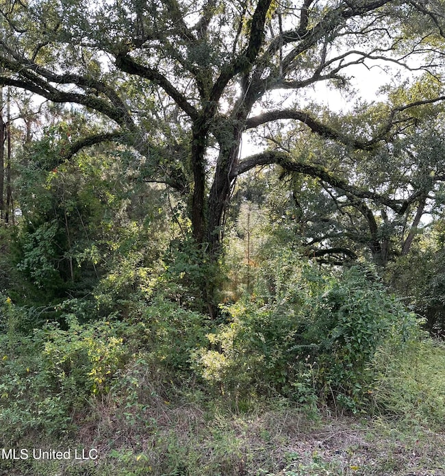 6611 Omaha St, Biloxi, MS 39532 - photo 2