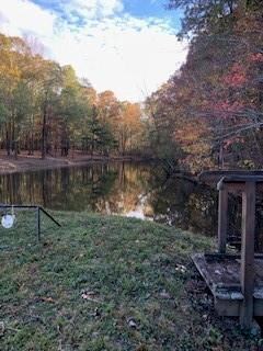 View of yard with a water view and a wooded view