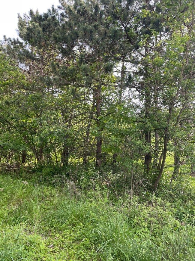 0 Center Ave unit GNR493681, Chesterton, IN 46304 - photo 2