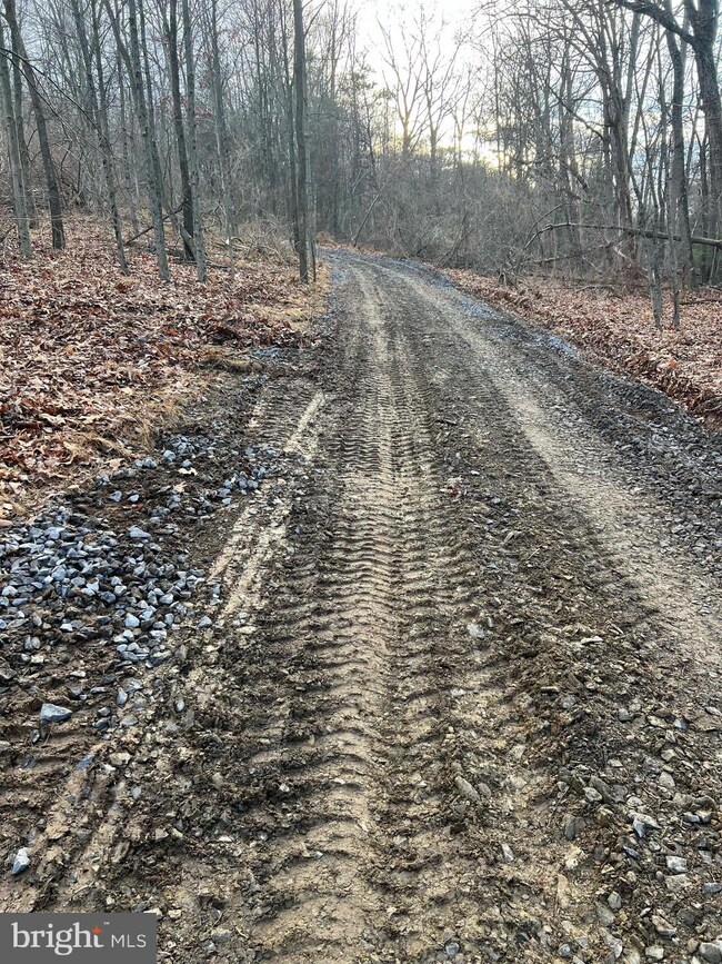 1124 Dormantown Rd, Mc Clure, PA 17841 - photo 2