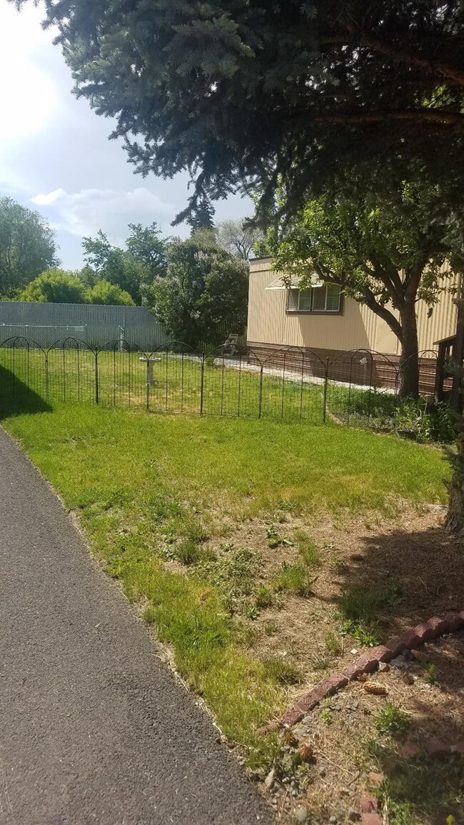 Additional Photo