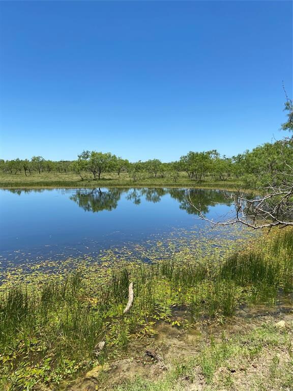 4801 Fm 1181, Ennis, TX 75119 - photo 7