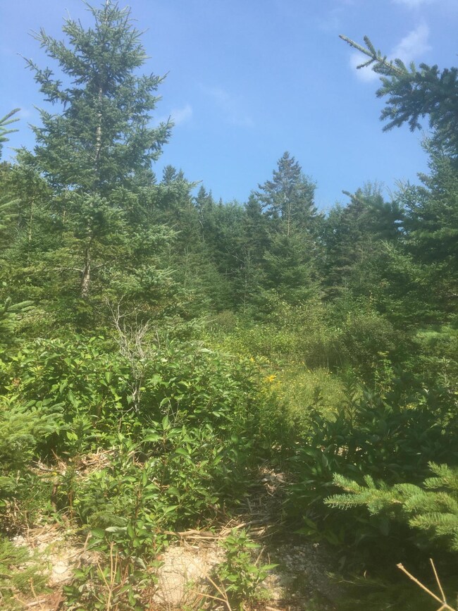 IMG-0395 (1)