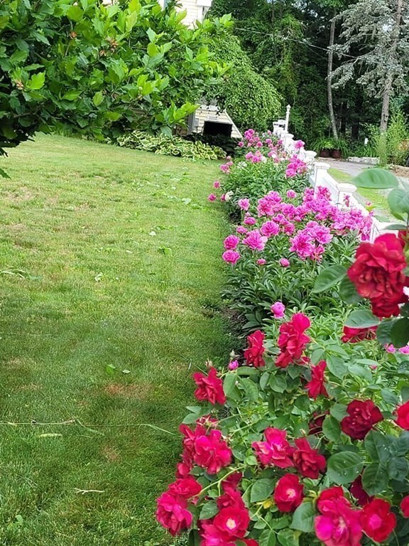 19 Lake St, Wrentham, MA 02093 - photo 5