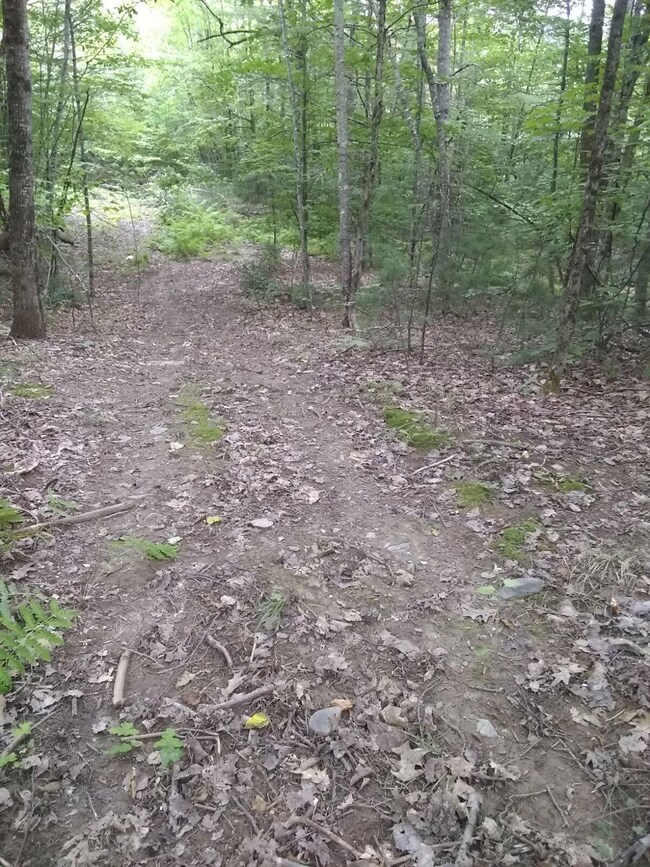 5744523017374089537