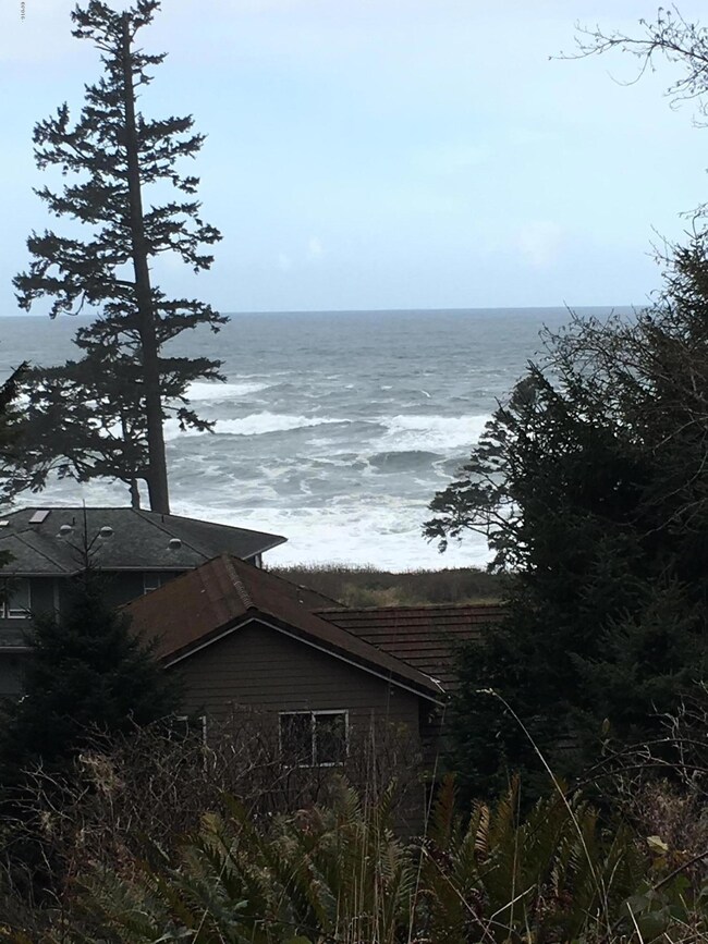 Lot 50 view