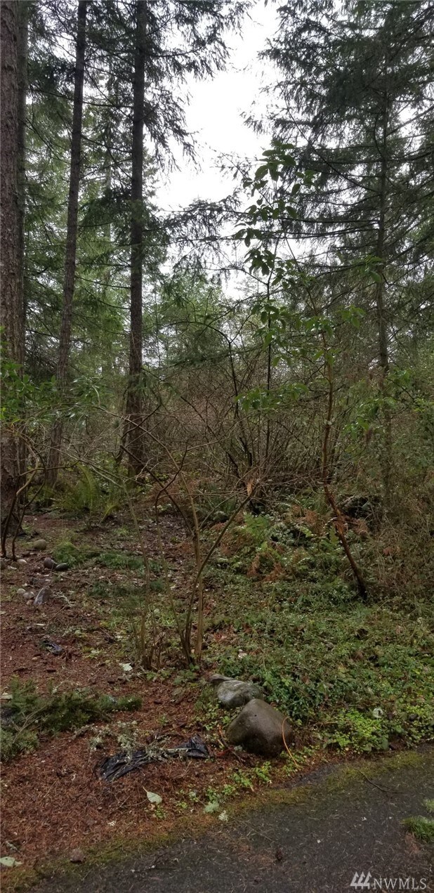 22309 Overlake Loop SE, Yelm, WA 98597 - photo 4