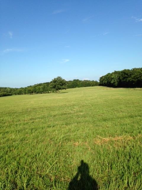 0 Whitaker Rd unit 1732233, Shelbyville, TN 37160 - photo 2