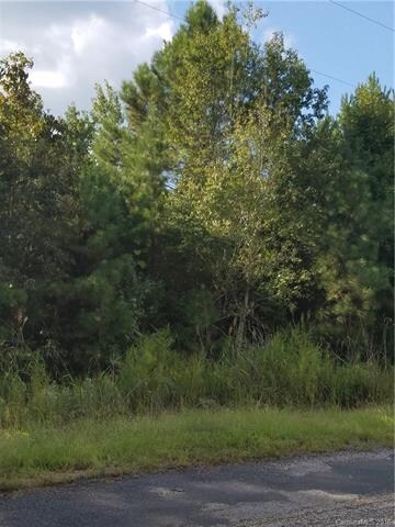 000 Brown Rd unit 8, Chester, SC 29706 - photo 2