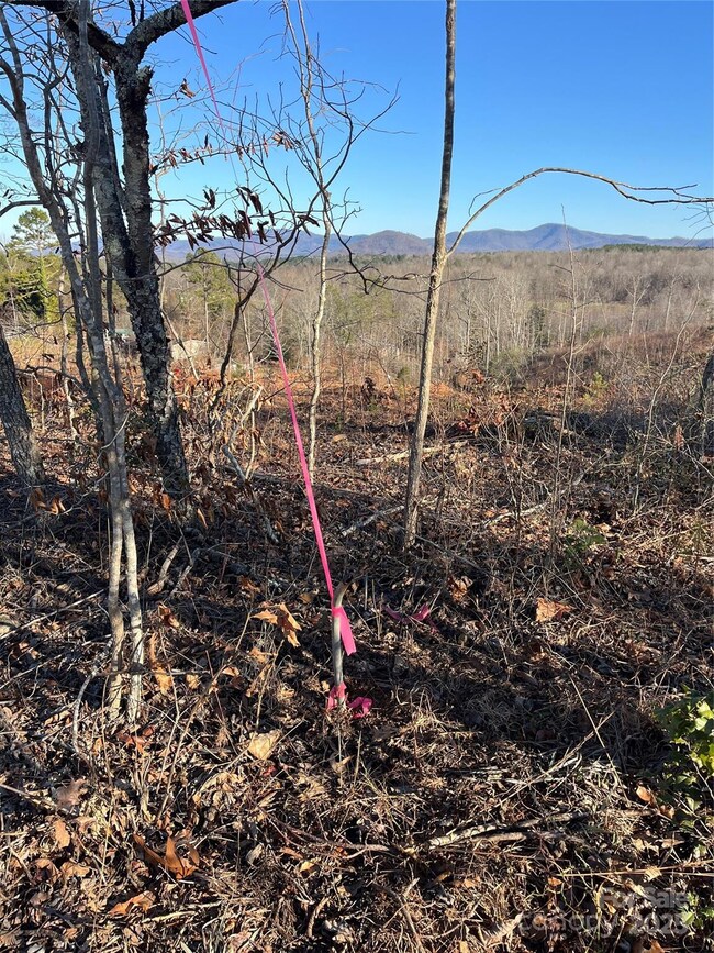 V/L Tatertown Loop unit 1, Nebo, NC 28761 - photo 7