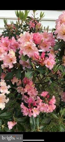 3547 Prchal Rd, Preston, MD 21655 - photo 4